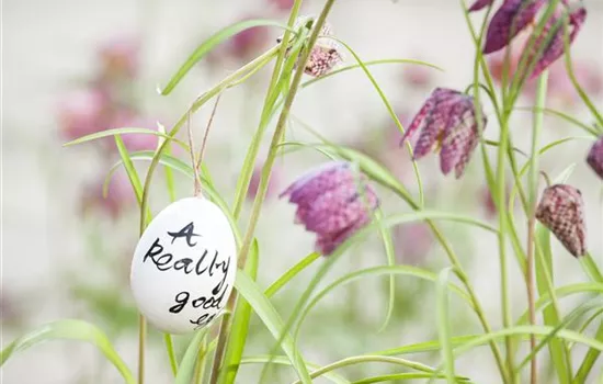 Der Garten für den Osterhasen – ein Frühlingsparadies!